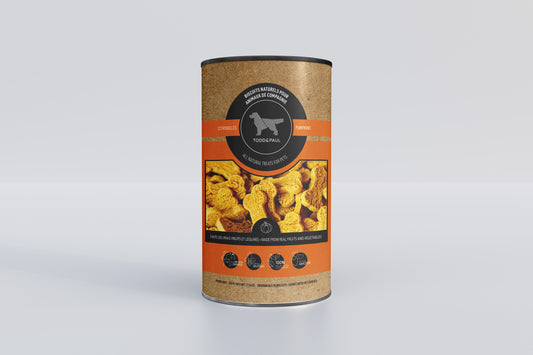 Todd & Paul - Biscuits à la citrouille