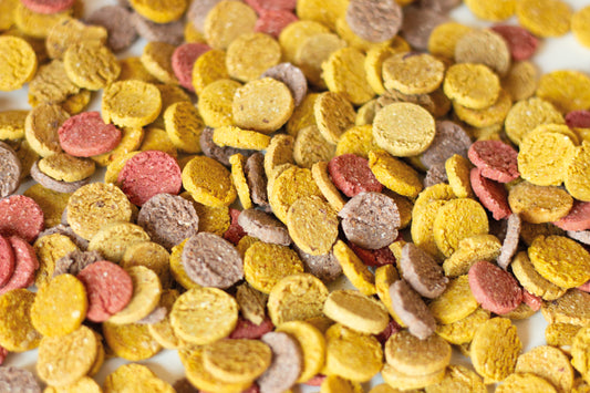 Todd & Paul - Pastilles assorties en vrac